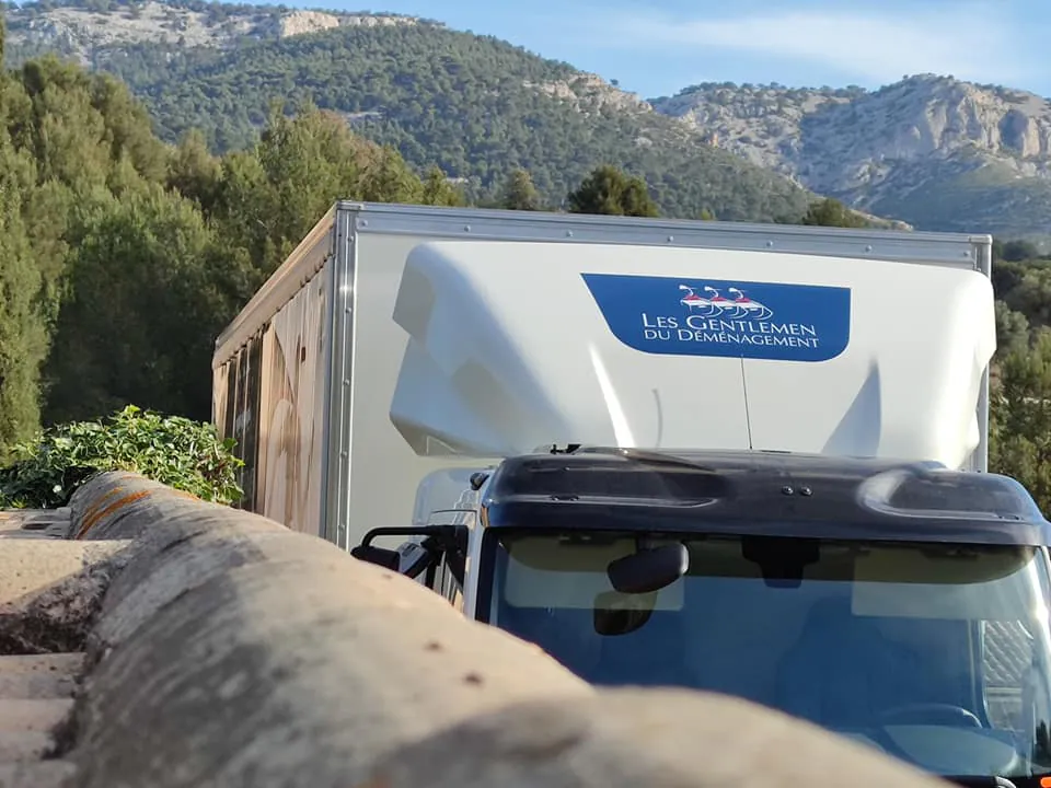 Planification minutieuse des mutations par Millot Déménagements